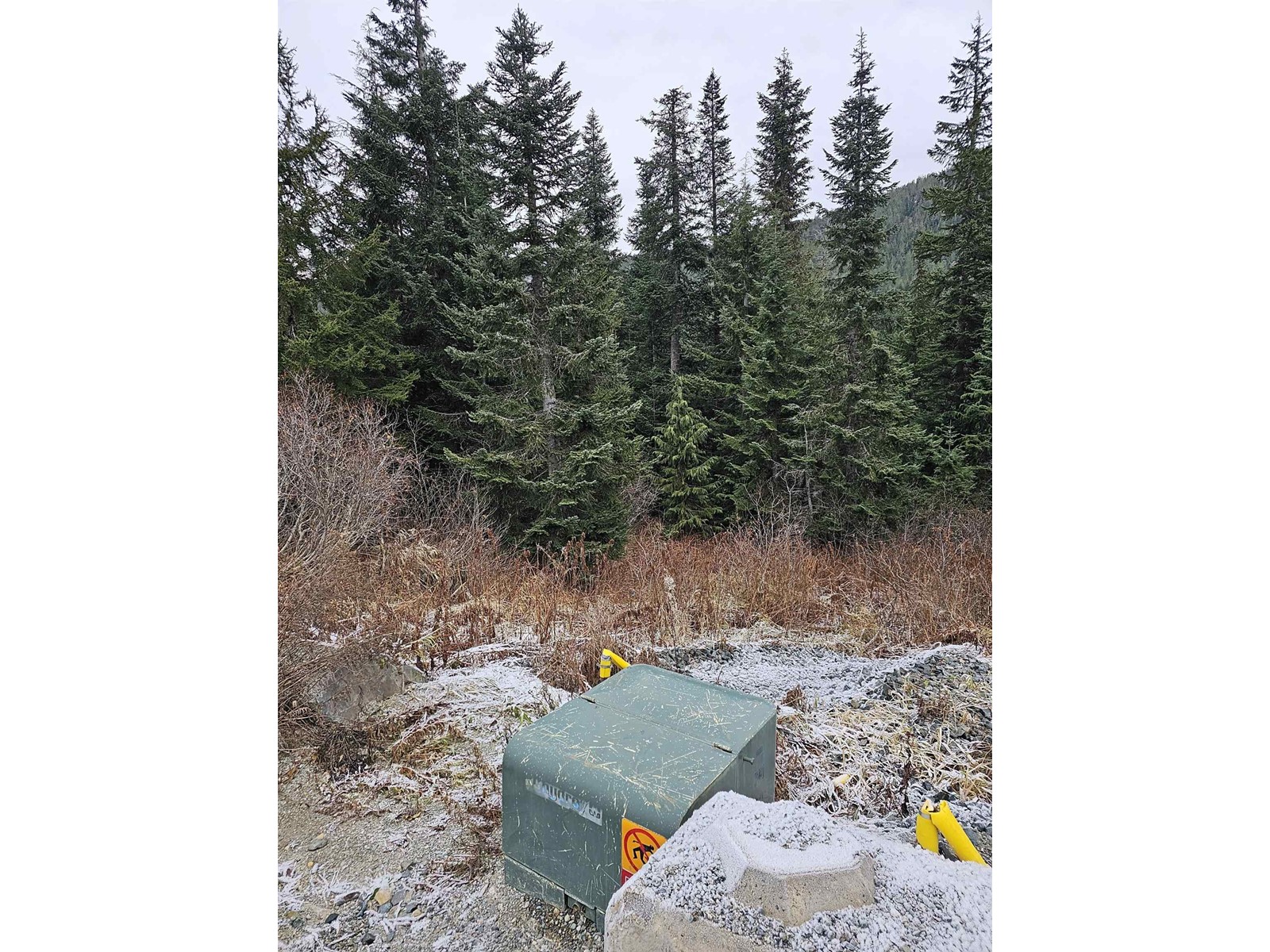 20558 Edelweiss Drive, Agassiz, British Columbia  V0M 1A1 - Photo 18 - R2823166