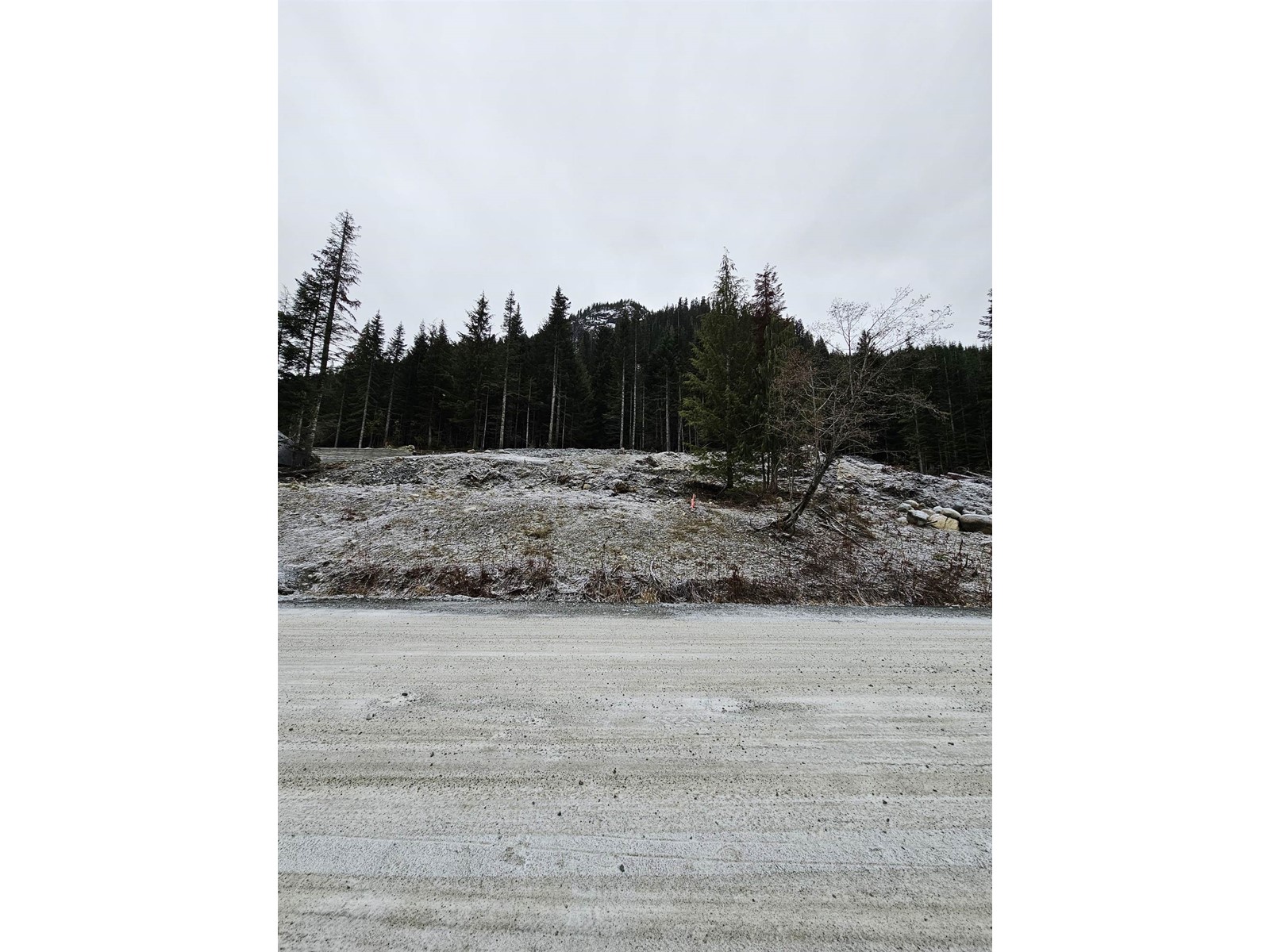 20558 Edelweiss Drive, Agassiz, British Columbia  V0M 1A1 - Photo 21 - R2823166