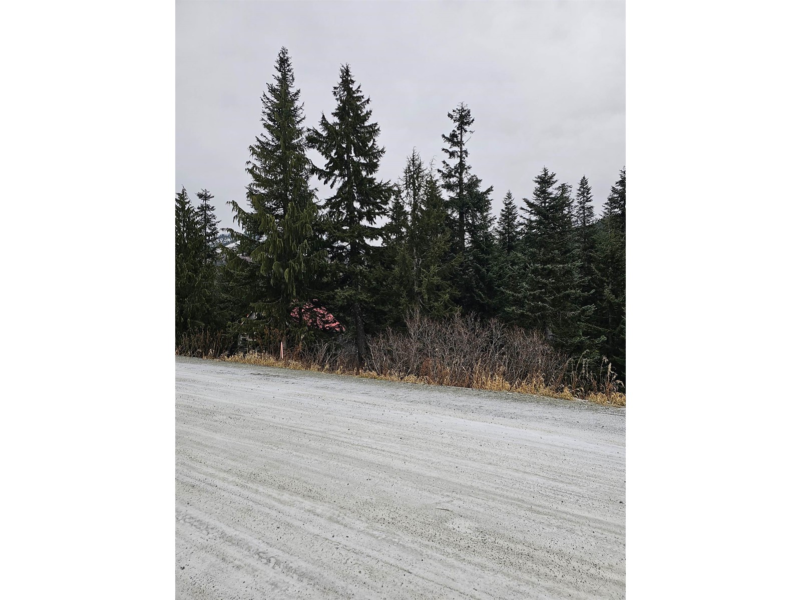 20558 Edelweiss Drive, Agassiz, British Columbia  V0M 1A1 - Photo 7 - R2823166