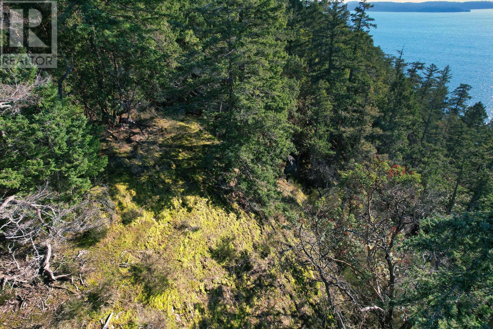 1569 Ridge Road, Galiano Island, British Columbia  V0N 1P0 - Photo 4 - R2835666