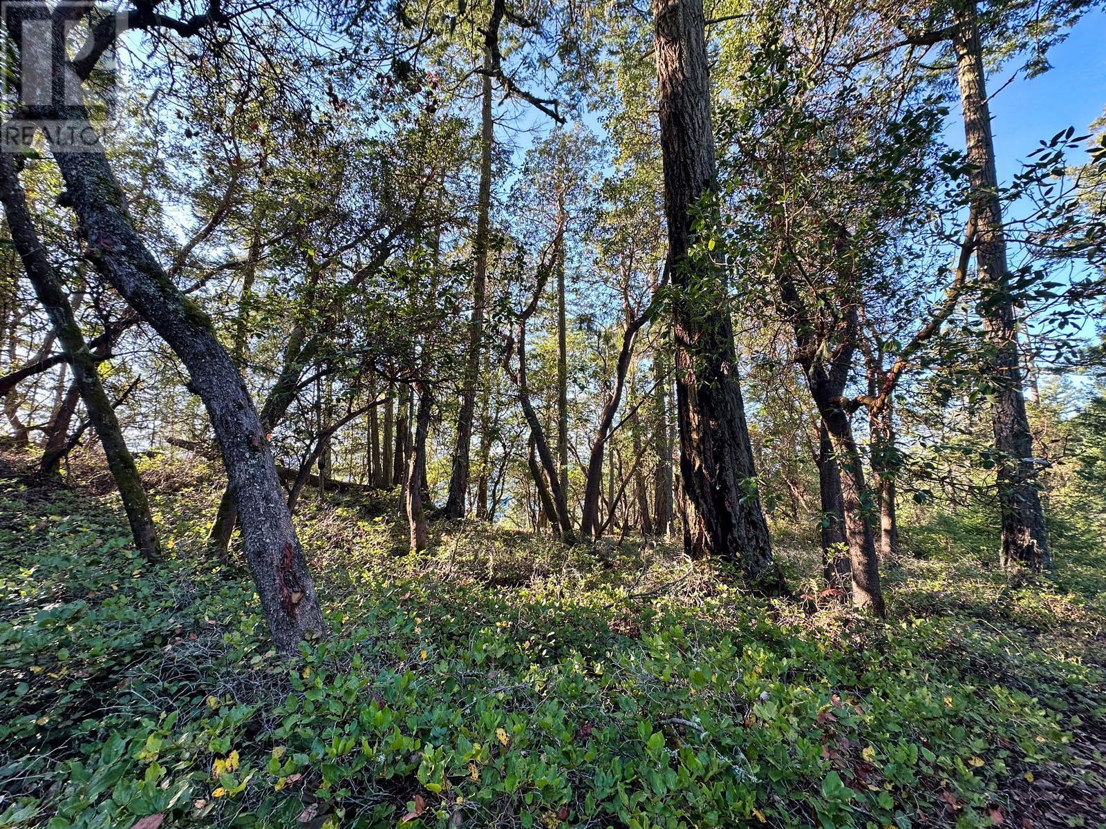 1569 Ridge Road, Galiano Island, British Columbia  V0N 1P0 - Photo 17 - R2835666