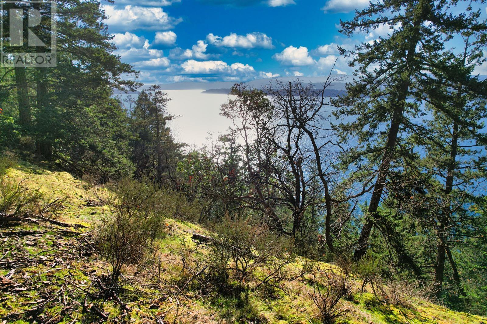 1569 Ridge Road, Galiano Island, British Columbia  V0N 1P0 - Photo 2 - R2835666