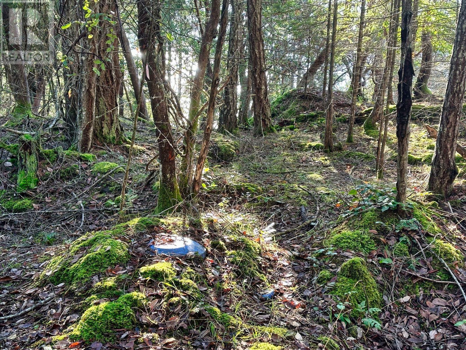 1569 Ridge Road, Galiano Island, British Columbia  V0N 1P0 - Photo 16 - R2835666