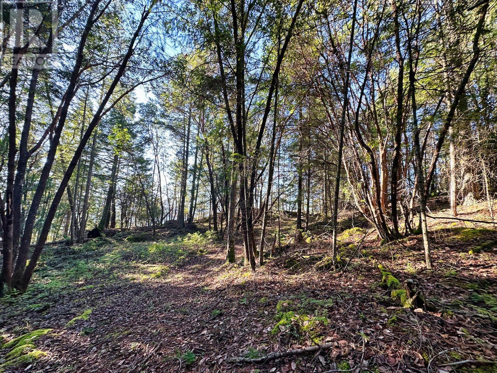 1569 Ridge Road, Galiano Island, British Columbia  V0N 1P0 - Photo 13 - R2835666