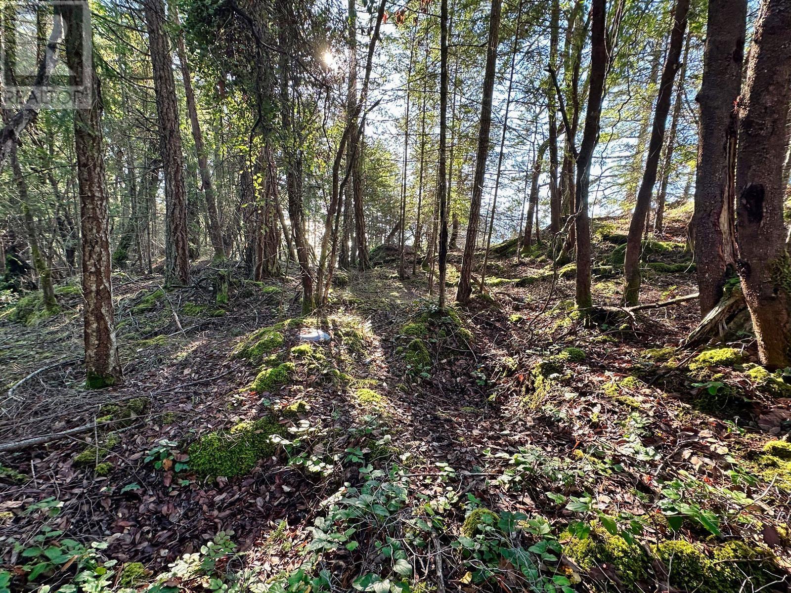 1569 Ridge Road, Galiano Island, British Columbia  V0N 1P0 - Photo 15 - R2835666