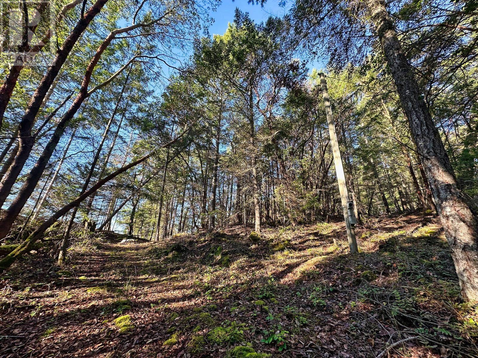 1569 Ridge Road, Galiano Island, British Columbia  V0N 1P0 - Photo 14 - R2835666