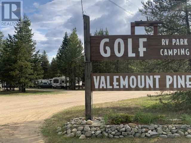1125 N 5 HIGHWAY, valemount, British Columbia V0E2Z0