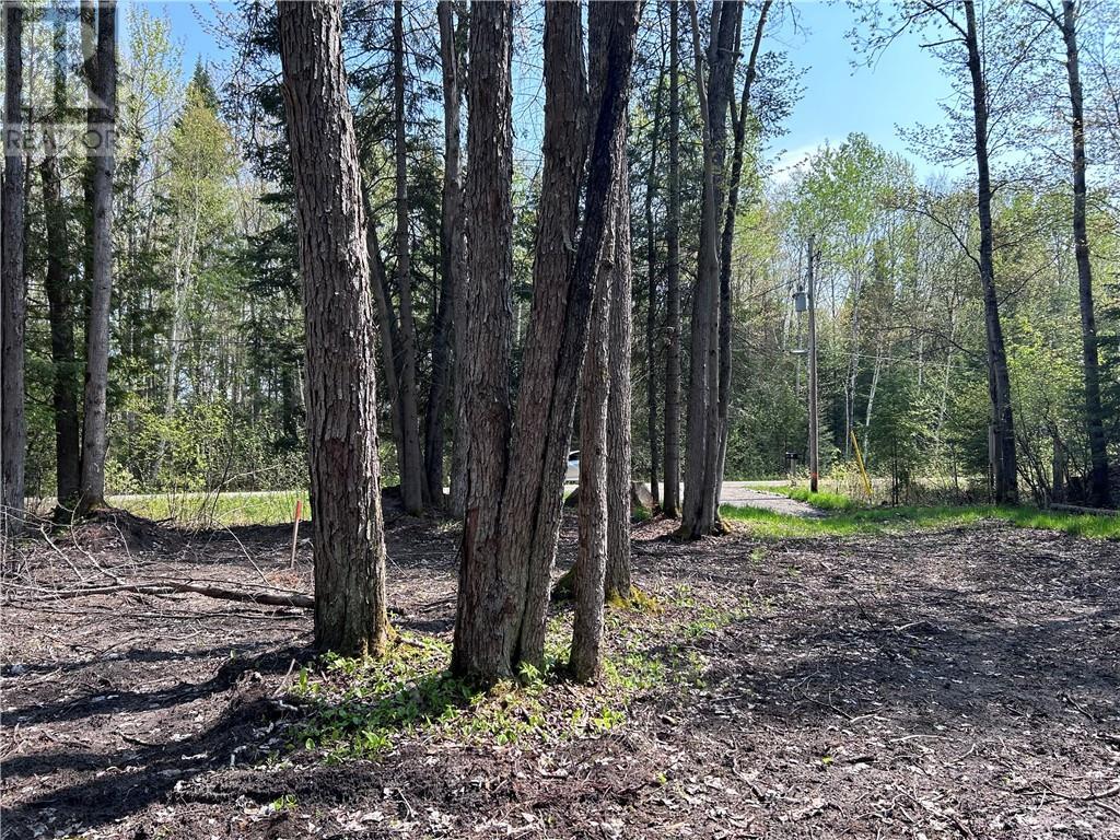 63 Annie Mayhew Road, Combermere, Ontario  K0J 1L0 - Photo 10 - 1370893