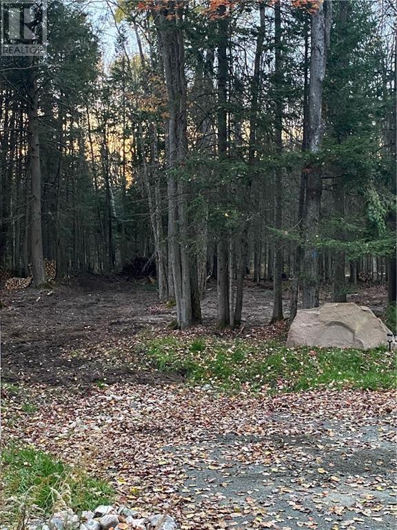 63 Annie Mayhew Road, Combermere, Ontario  K0J 1L0 - Photo 15 - 1370893