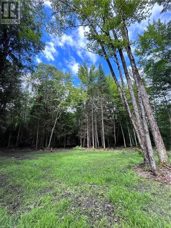 63 Annie Mayhew Road, Combermere, Ontario  K0J 1L0 - Photo 8 - 1370893