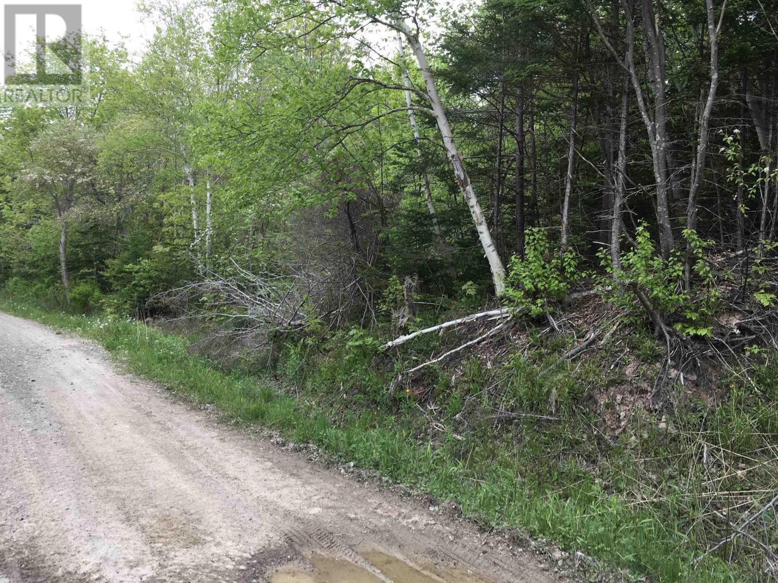 Macgarry Road, Grand Étang, Nova Scotia  B0E 1H0 - Photo 3 - 202213028