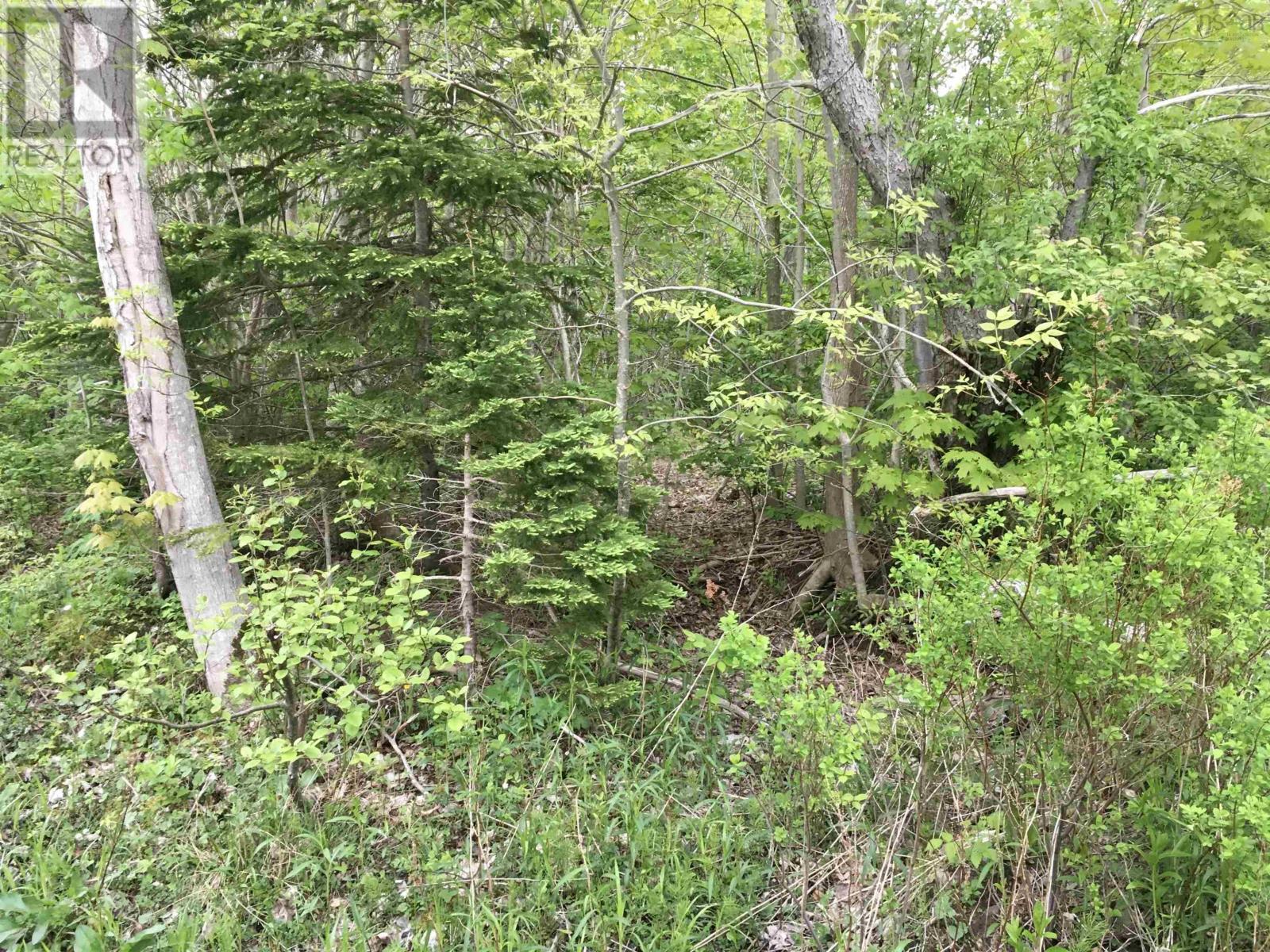 Macgarry Road, Grand Étang, Nova Scotia  B0E 1H0 - Photo 6 - 202213028