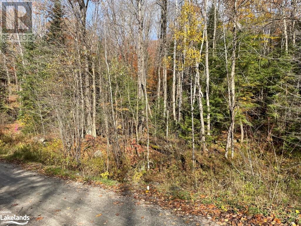 0 Coleman Lake Road, Haliburton, Ontario  K0M 1S0 - Photo 12 - 40519135