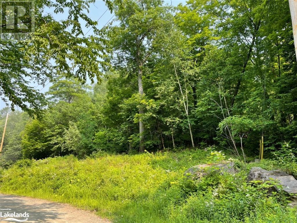 0 Coleman Lake Road, Haliburton, Ontario  K0M 1S0 - Photo 1 - 40519135