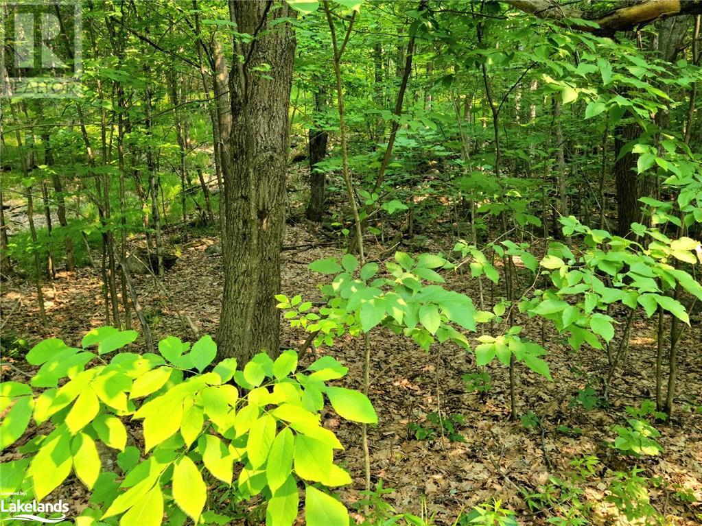 26 Mount Vernon Trail Unit# 19, Huntsville, Ontario  P1H 1E3 - Photo 2 - 40442260