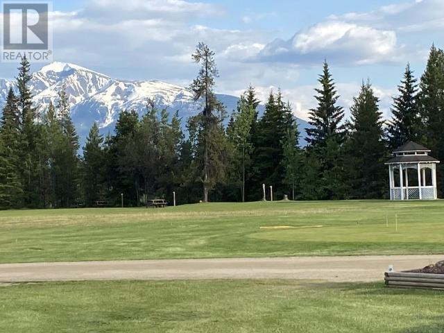 1125 N 5 Highway, Valemount, British Columbia  V0E 2Z0 - Photo 8 - R2835793