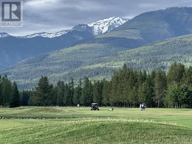 1125 N 5 Highway, Valemount, British Columbia  V0E 2Z0 - Photo 4 - R2835793
