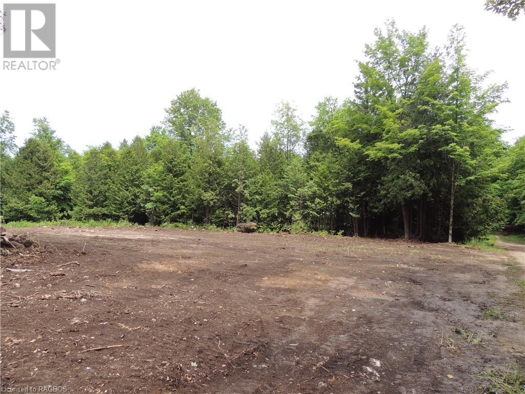 Part Of Lot 13 Penny Lane, Grey Highlands, Ontario  N0C 1E0 - Photo 1 - 40518960