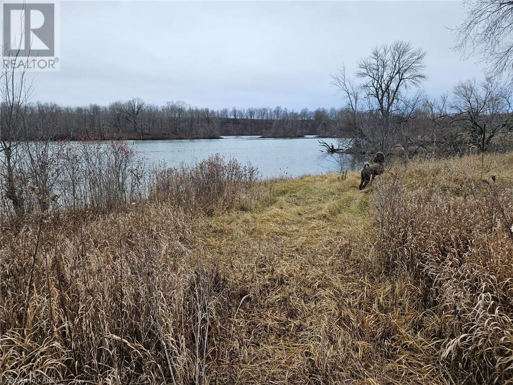 213 Mann Drive, Kingston, Ontario  K7L 4V3 - Photo 5 - 40519523