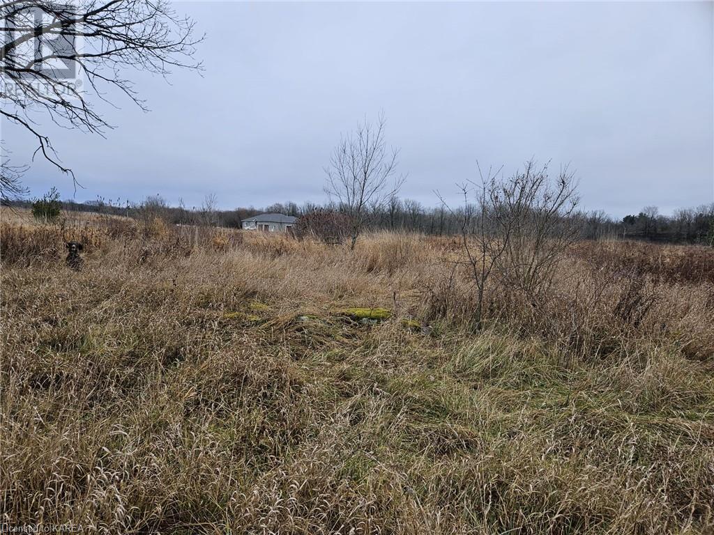 213 Mann Drive, Kingston, Ontario  K7L 4V3 - Photo 6 - 40519523