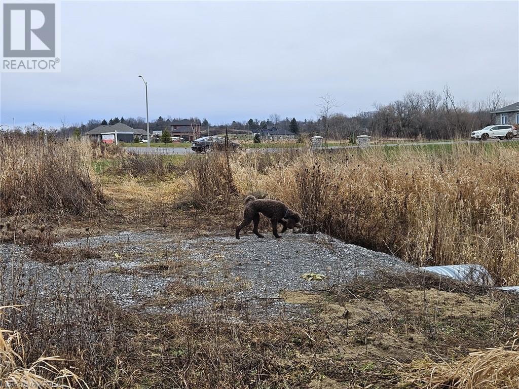 213 Mann Drive, Kingston, Ontario  K7L 4V3 - Photo 4 - 40519523