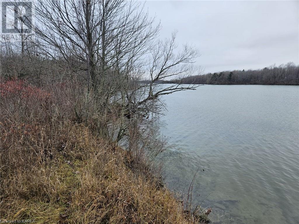 213 Mann Drive, Kingston, Ontario  K7L 4V3 - Photo 2 - 40519523