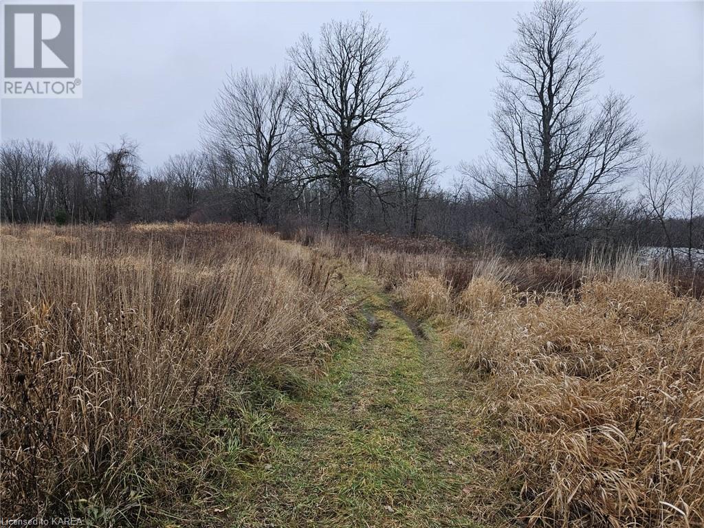 213 Mann Drive, Kingston, Ontario  K7L 4V3 - Photo 15 - 40519523