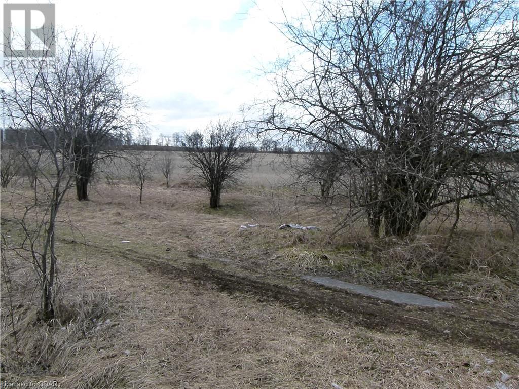 8256 Highway 7 Highway, Eramosa, Ontario  N0B 2K0 - Photo 7 - 40090857