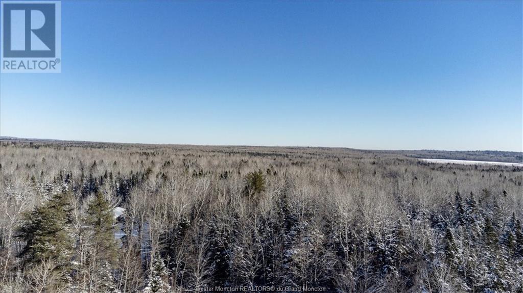 308 Lower Mountain Rd, Boundary Creek, New Brunswick  E1G 4C5 - Photo 36 - M156505