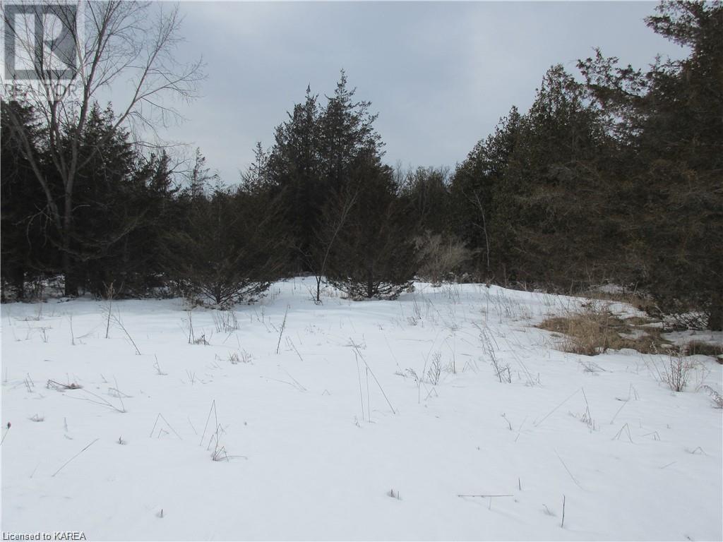 0 Salmon River Road, Roblin, Ontario  K0K 2W0 - Photo 18 - 40520332