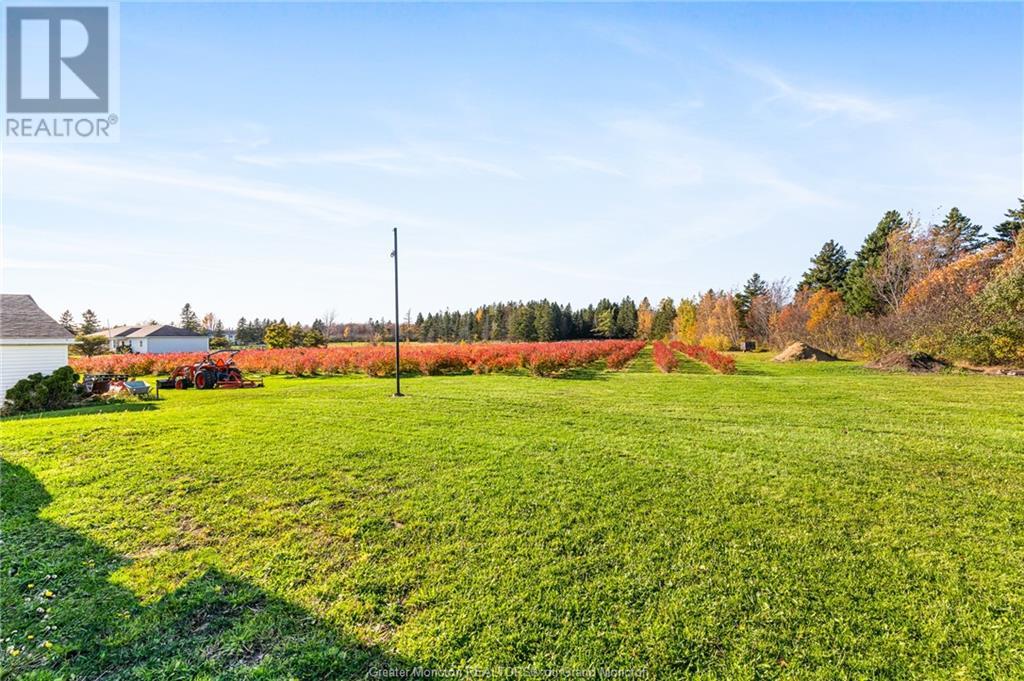 239 530 Rte, Grande-Digue, New Brunswick  E4R 5G6 - Photo 4 - M156524