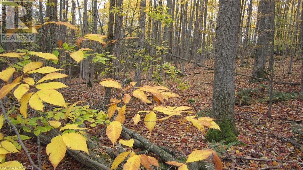 442830 12th Sideroad Wgr, West Grey, Ontario  N0G 1R0 - Photo 16 - 40506553