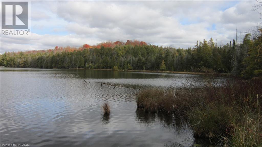 442830 12th Sideroad Wgr, West Grey, Ontario  N0G 1R0 - Photo 5 - 40506553