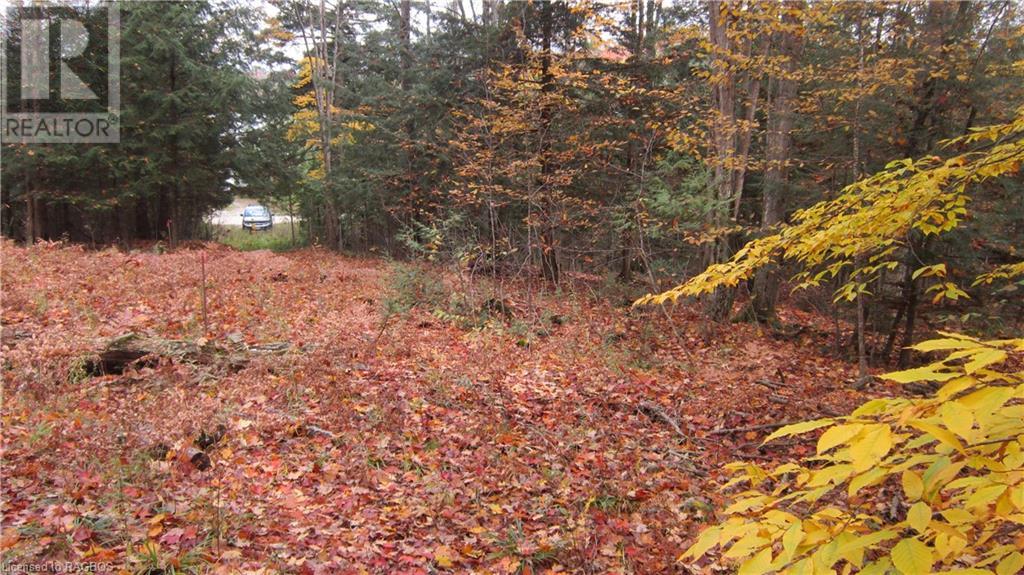 442830 12th Sideroad Wgr, West Grey, Ontario  N0G 1R0 - Photo 13 - 40506553