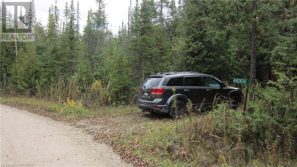 442830 12th Sideroad Wgr, West Grey, Ontario  N0G 1R0 - Photo 11 - 40506553