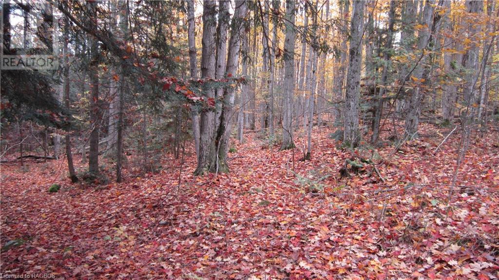 442830 12th Sideroad Wgr, West Grey, Ontario  N0G 1R0 - Photo 15 - 40506553