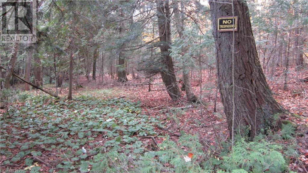 442830 12th Sideroad Wgr, West Grey, Ontario  N0G 1R0 - Photo 18 - 40506553