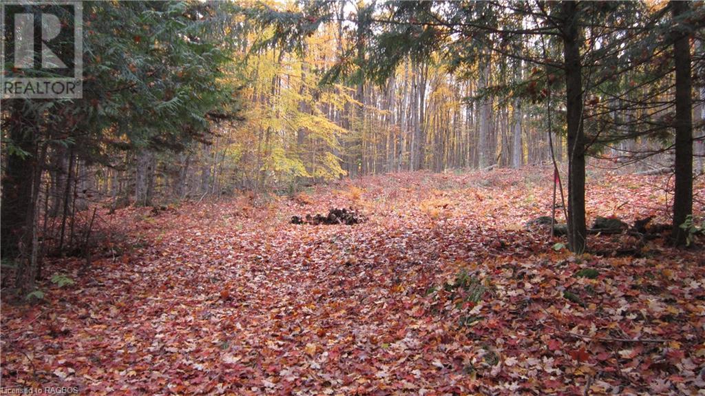 442830 12th Sideroad Wgr, West Grey, Ontario  N0G 1R0 - Photo 14 - 40506553