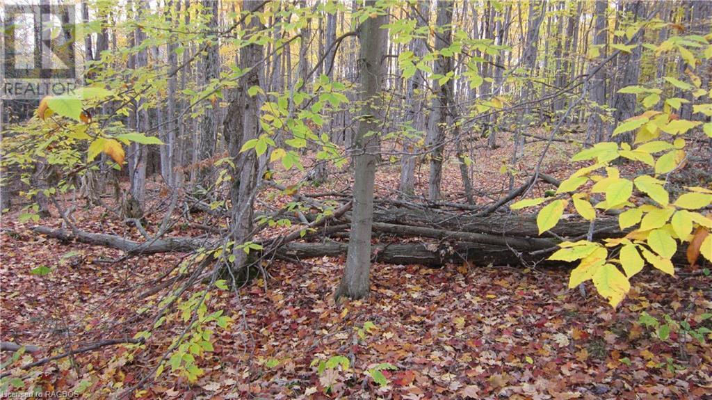 442830 12th Sideroad Wgr, West Grey, Ontario  N0G 1R0 - Photo 17 - 40506553