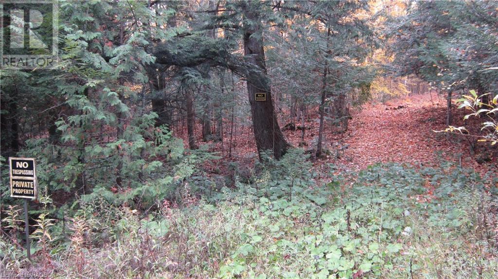 442830 12th Sideroad Wgr, West Grey, Ontario  N0G 1R0 - Photo 12 - 40506553