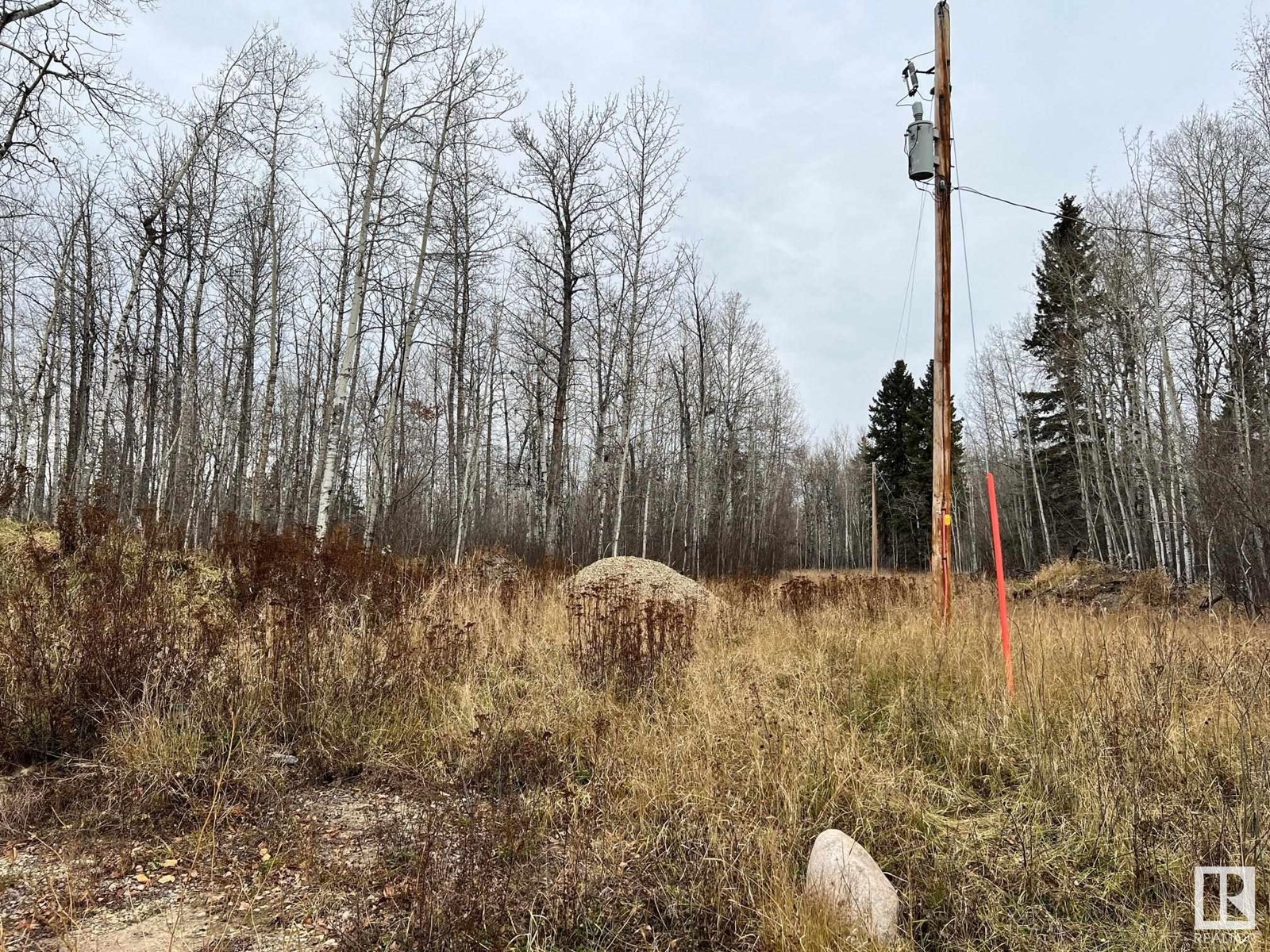 5430 Highway 16, Rural Parkland County, Alberta  T7Z 0J6 - Photo 25 - E4365677