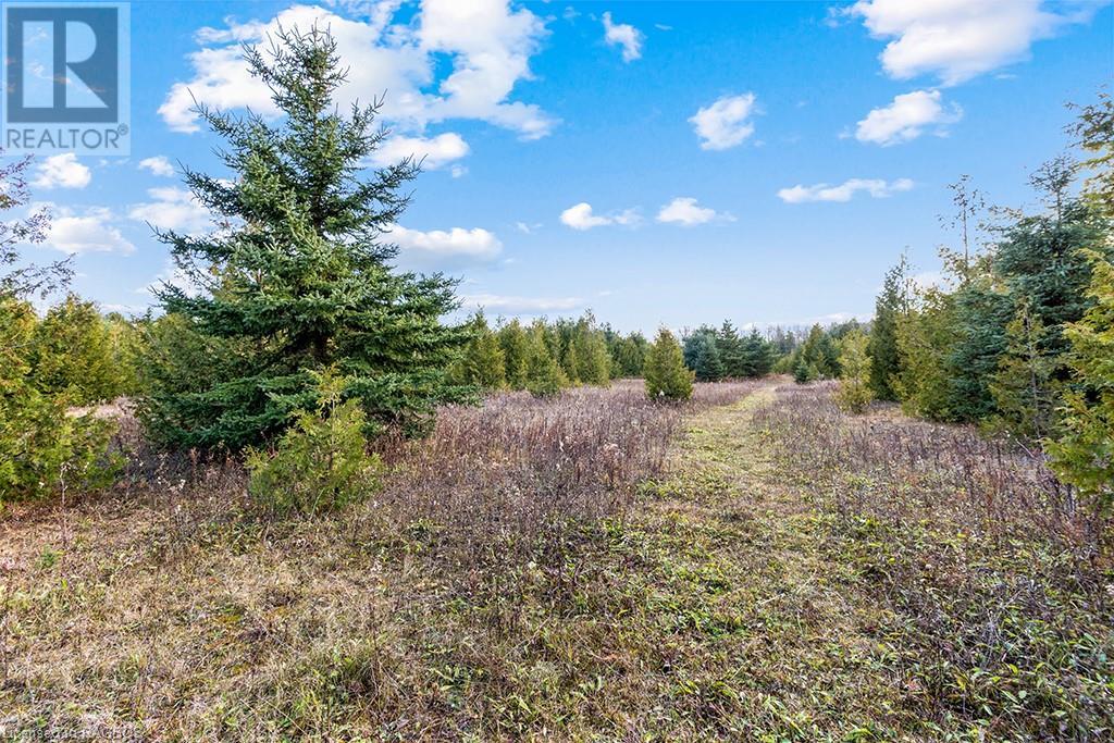 467302 Concession 12b, Grey Highlands, Ontario  N0C 1C0 - Photo 20 - 40514116