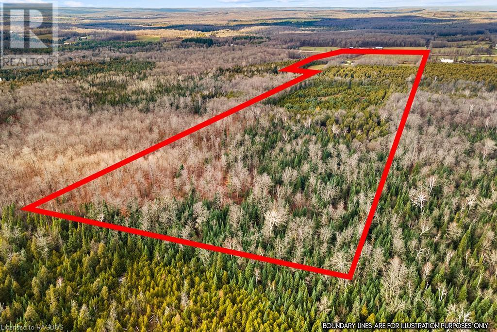 467302 Concession 12b, Grey Highlands, Ontario  N0C 1C0 - Photo 10 - 40514116