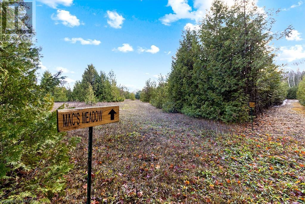 467302 Concession 12b, Grey Highlands, Ontario  N0C 1C0 - Photo 17 - 40514116