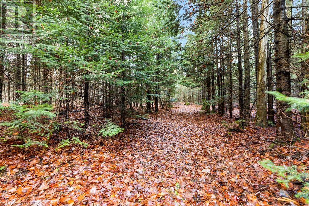 467302 Concession 12b, Grey Highlands, Ontario  N0C 1C0 - Photo 22 - 40514116