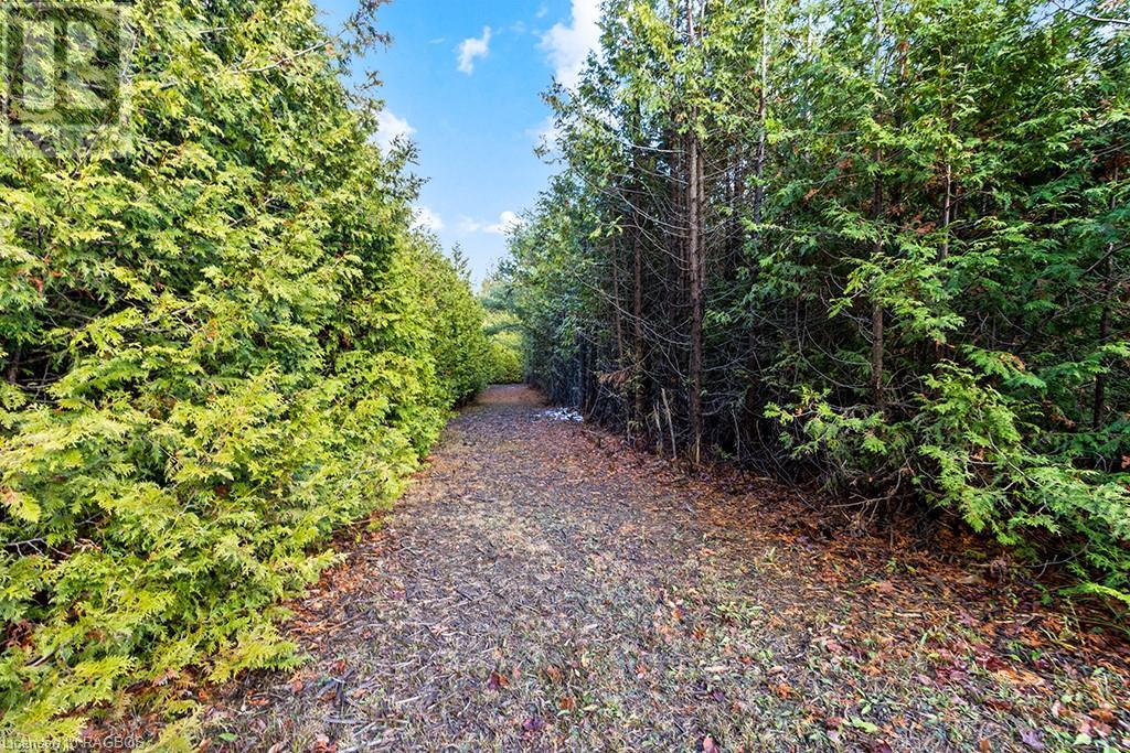 467302 Concession 12b, Grey Highlands, Ontario  N0C 1C0 - Photo 19 - 40514116