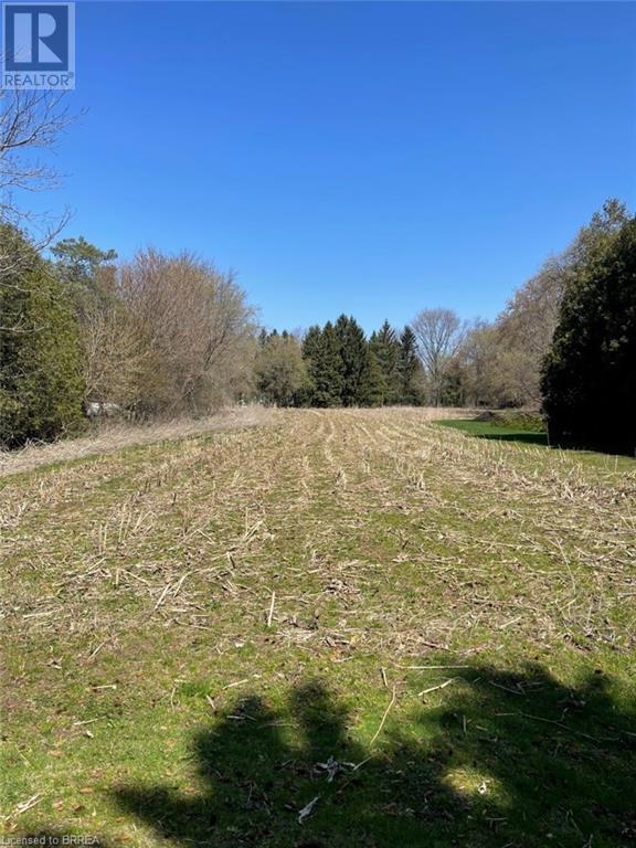 N/a Concession 13 Townsend Road, Simcoe, Ontario  N3Y 4K3 - Photo 3 - 40520285