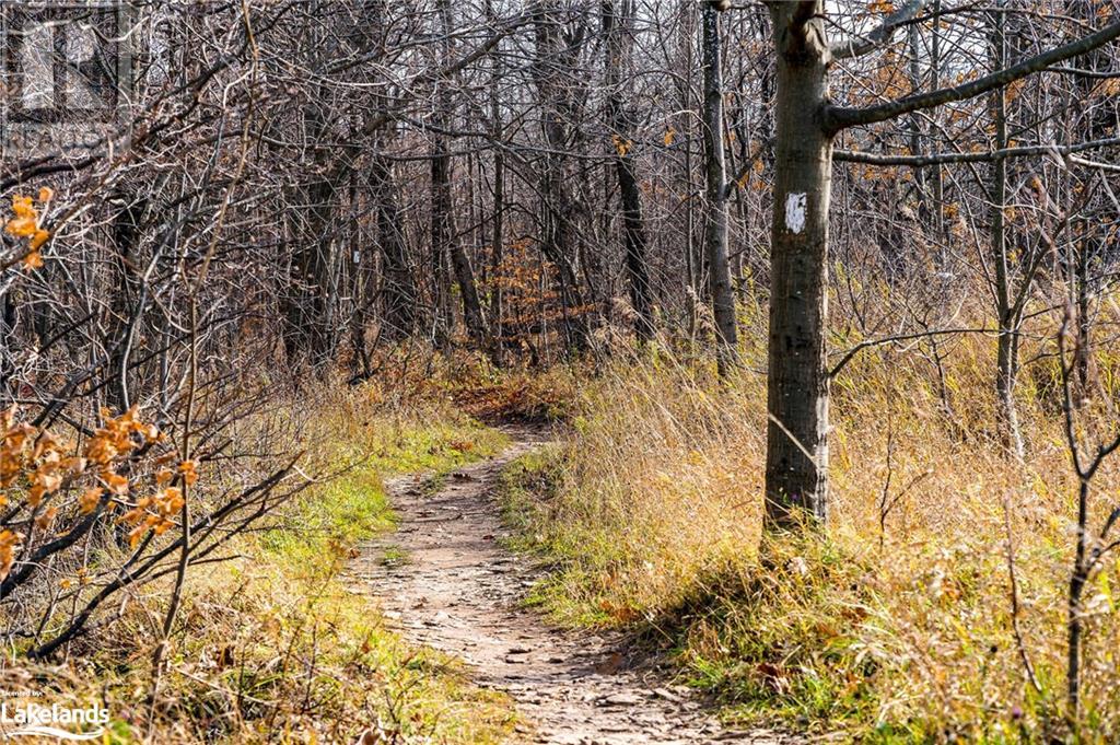 123 Maple Lane Lane, The Blue Mountains, Ontario  N0H 1E0 - Photo 21 - 40521075