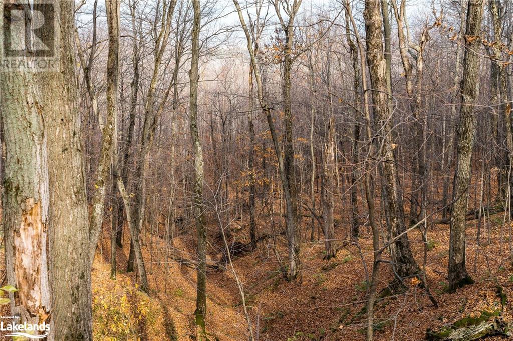 123 Maple Lane Lane, The Blue Mountains, Ontario  N0H 1E0 - Photo 22 - 40521075