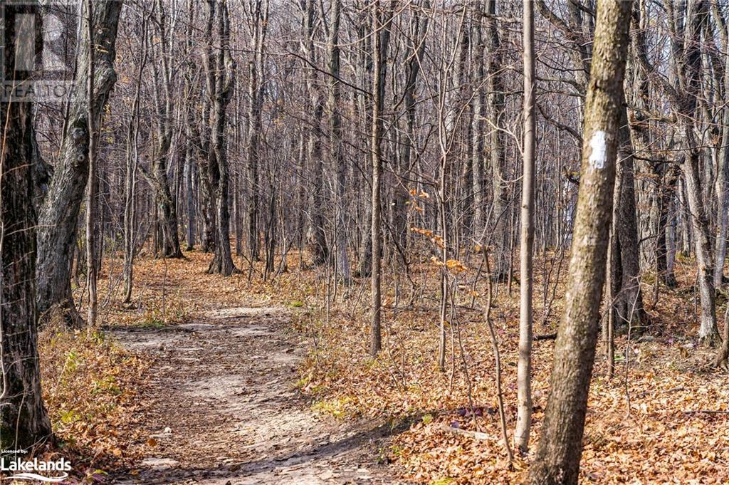 123 Maple Lane Lane, The Blue Mountains, Ontario  N0H 1E0 - Photo 23 - 40521075